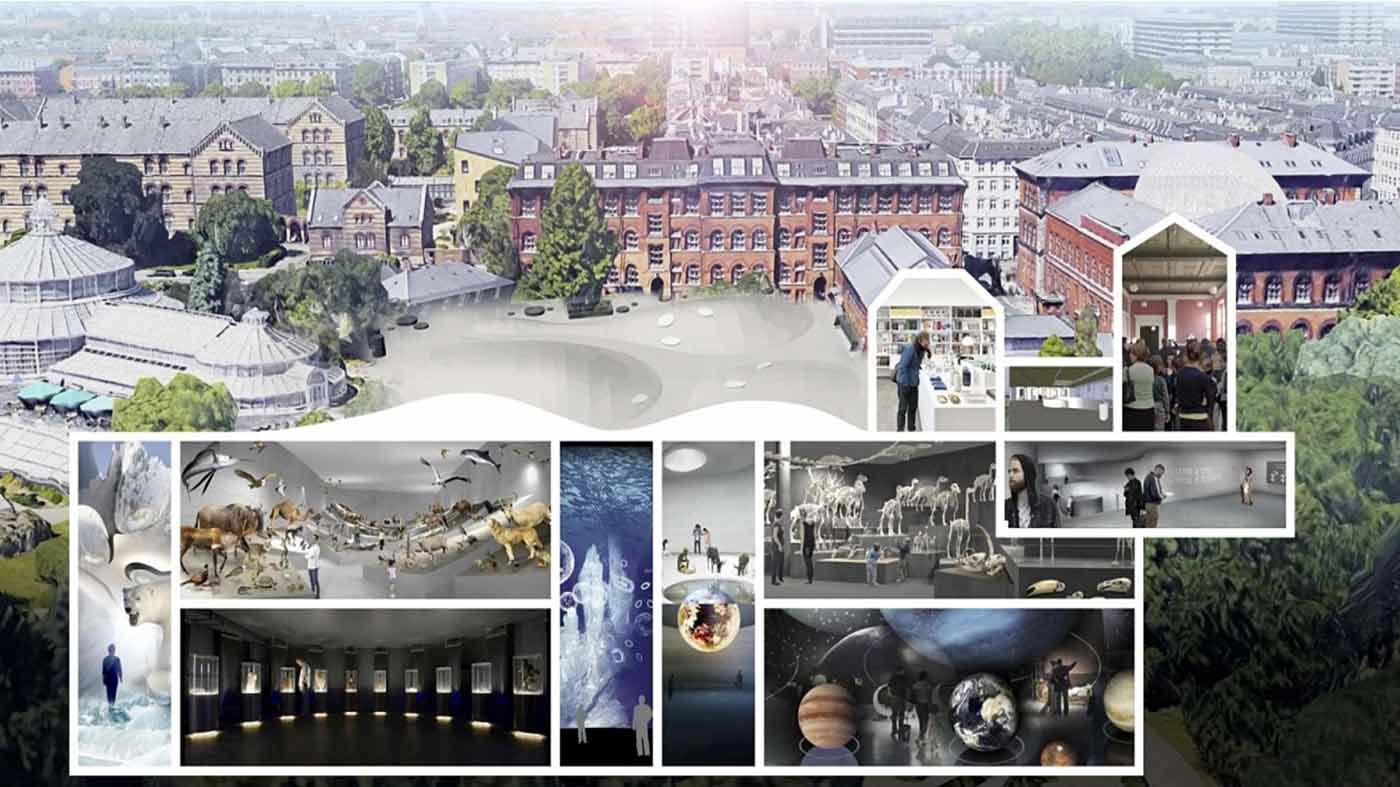 Natural History Museum of Denmark — image 4
