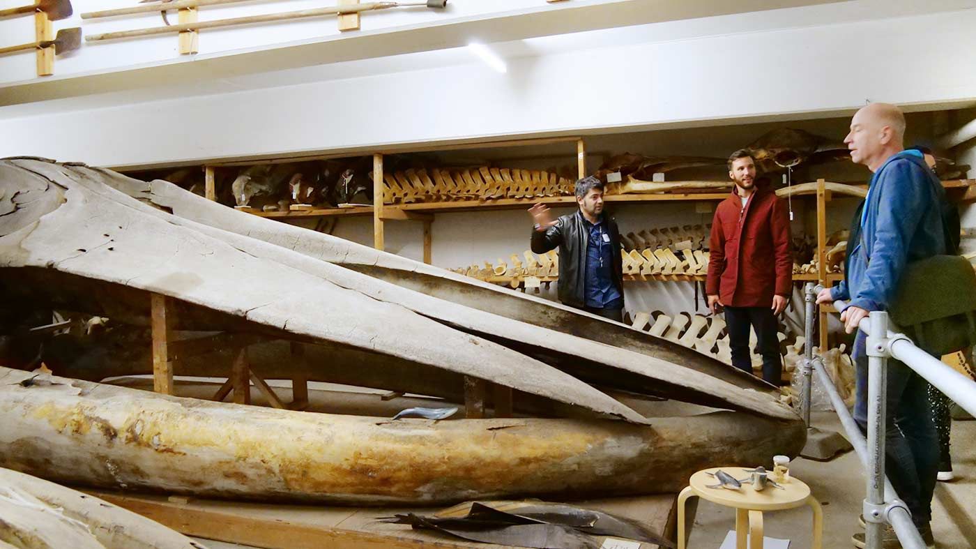 Natural History Museum of Denmark — image 6