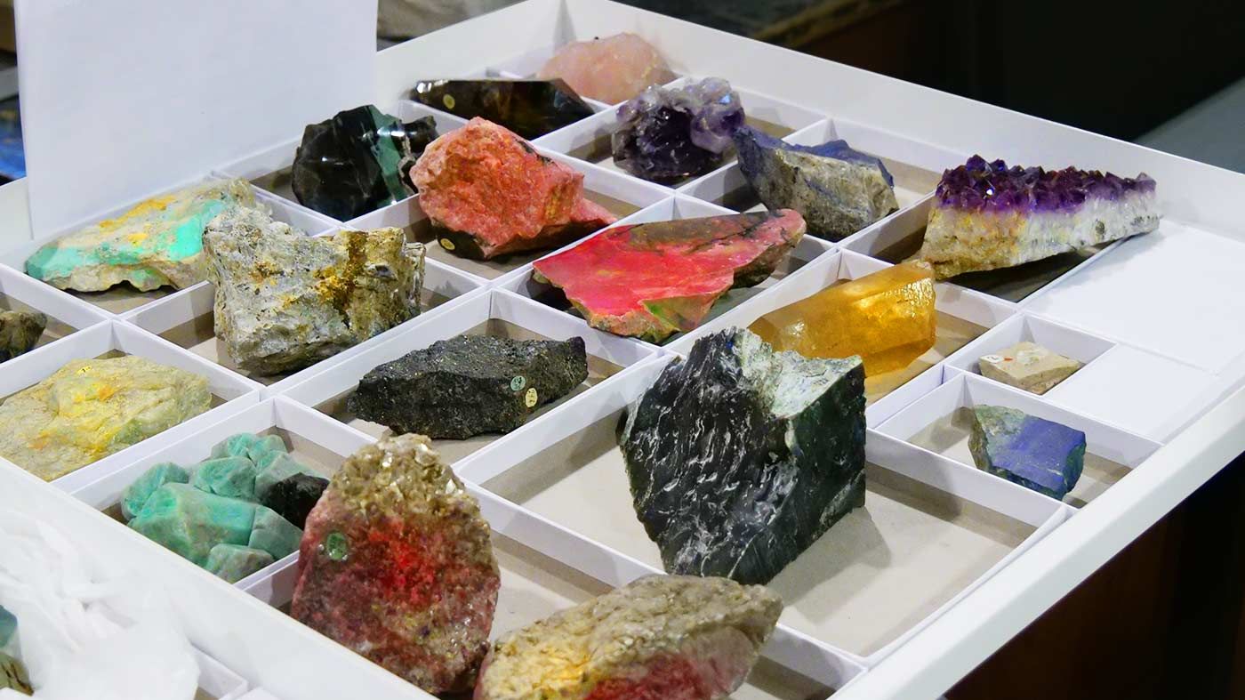 Natural History Museum of Denmark — image 7