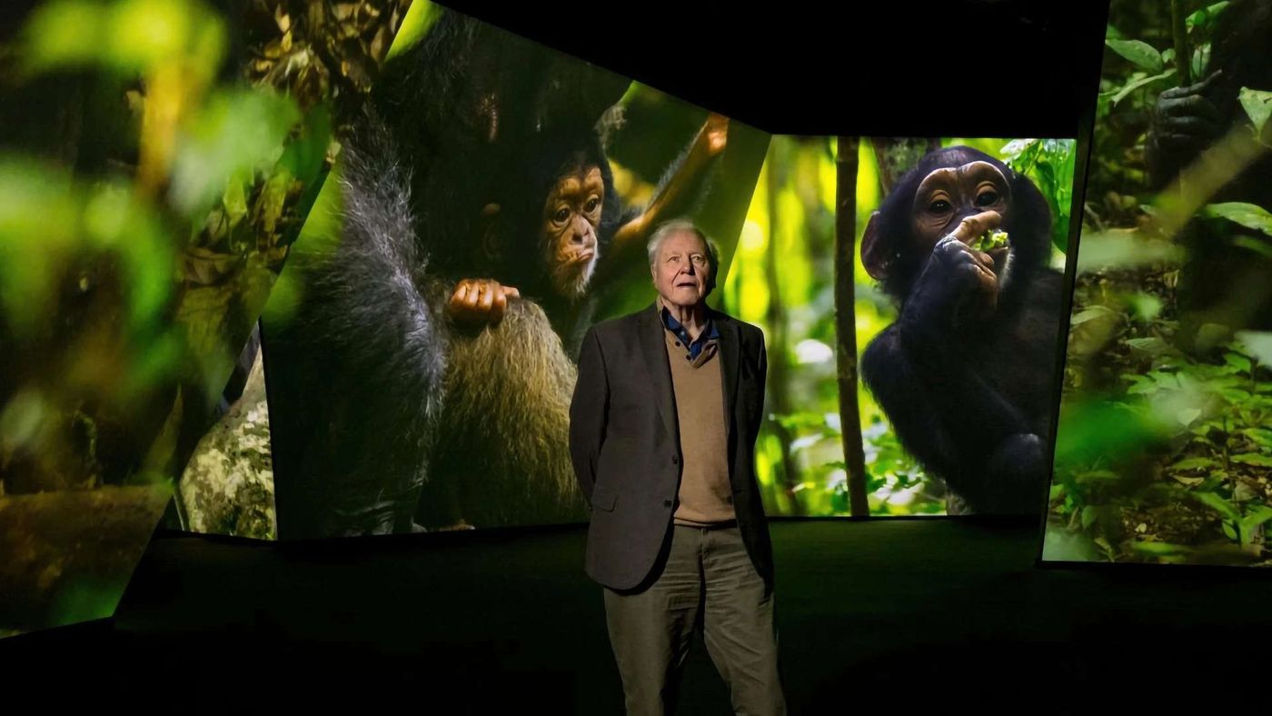 BBC Earth Experience — image 2