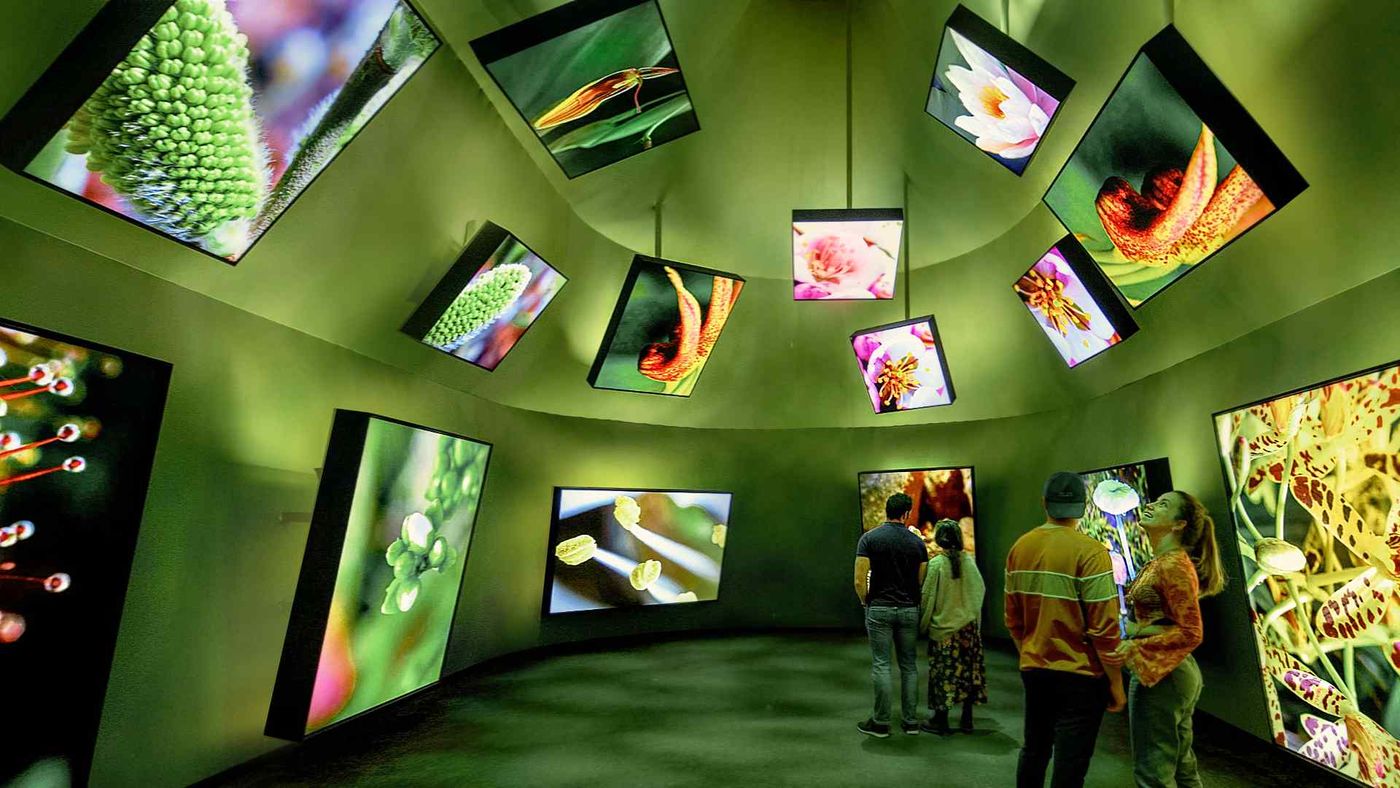 BBC Earth Experience — image 10