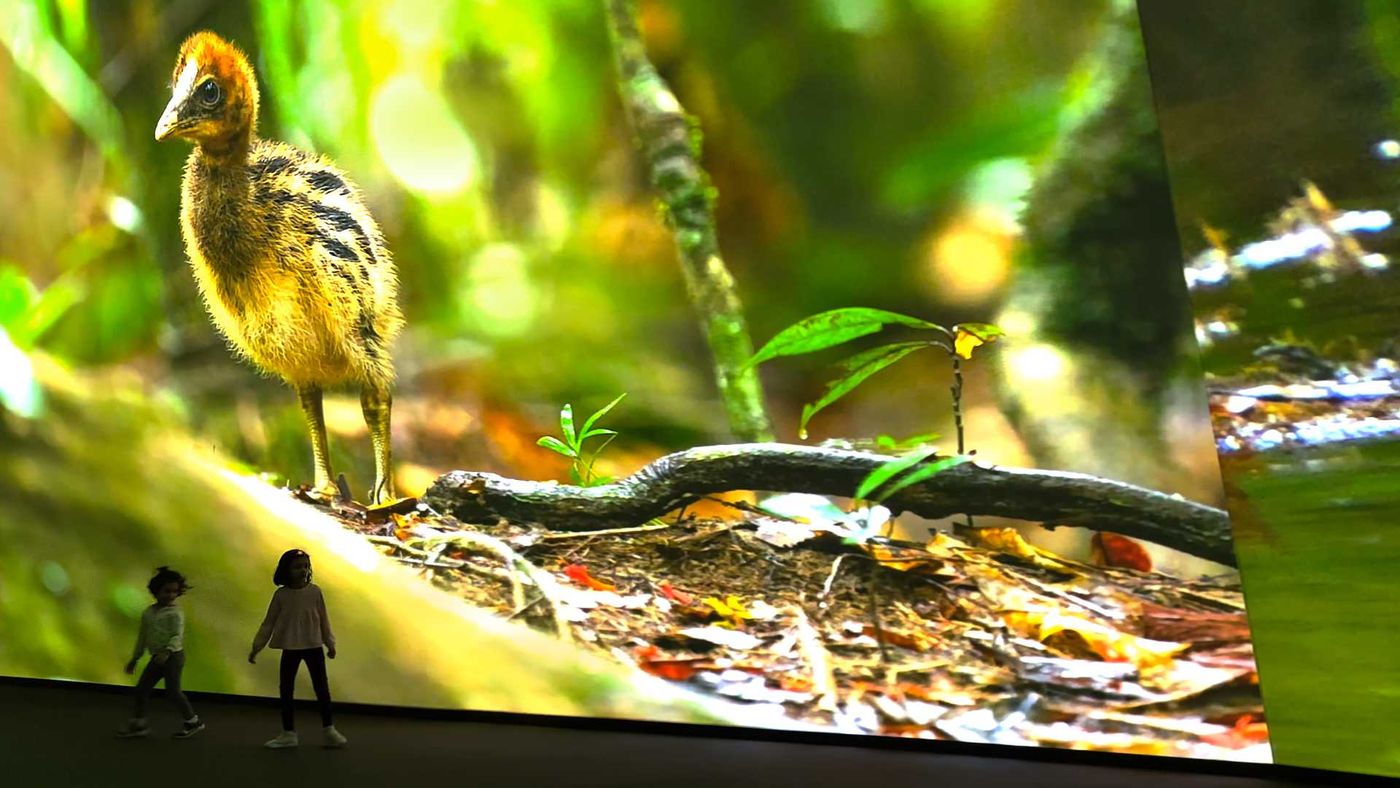 BBC Earth Experience — image 8