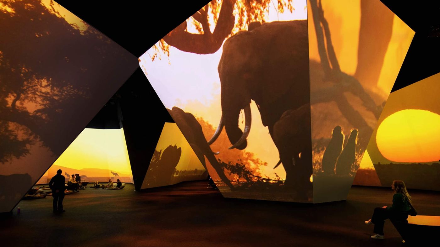 BBC Earth Experience — image 6