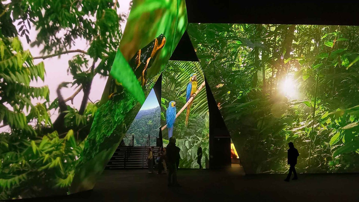 BBC Earth Experience — image 4